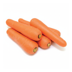 Carrot