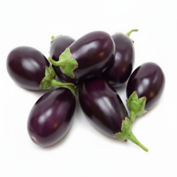 Baby Eggplant