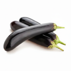Long Eggplant