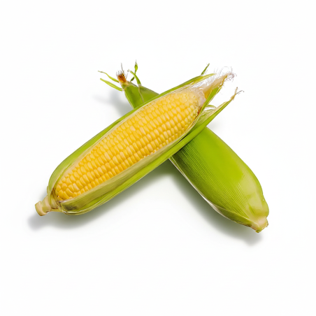 Sweet Corn