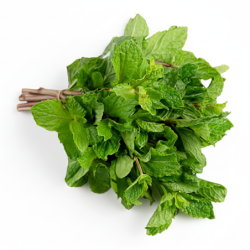 Mint Leaves Bunch