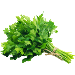 Parsley Bunch