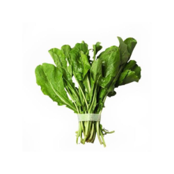 Arugula Bunch