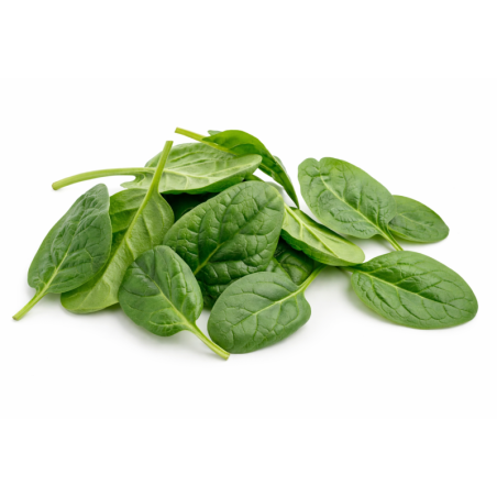 Baby Spinach