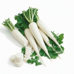 White Radish
