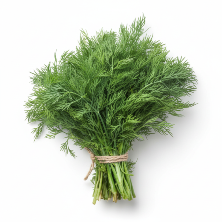 Dill