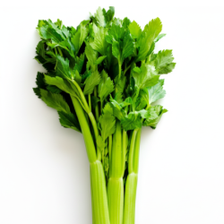 Celery