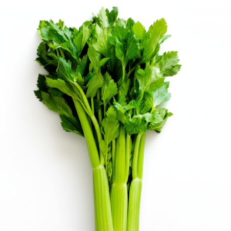 Celery