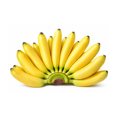 Baby Bananas