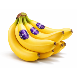Banana Lavida