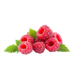 Raspberry