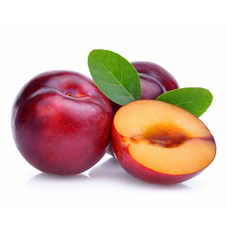 Plums Red