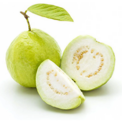 Guava