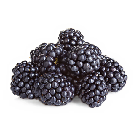 Blackberries
