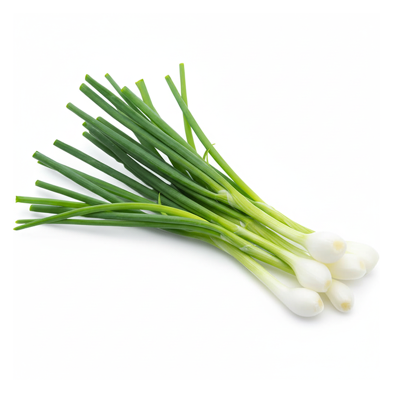 Spring Onion Bunch