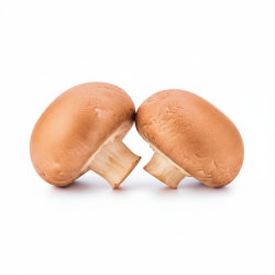 Brown Mushroom