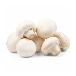 White Mushroom Pack