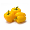 Yellow Capsicum