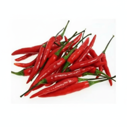 Red Chilli