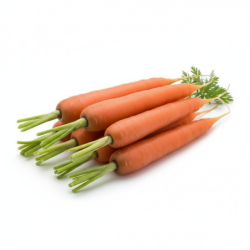 Red Carrot India