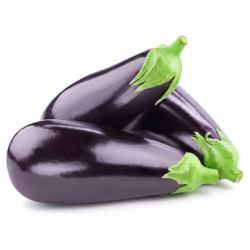 Eggplant