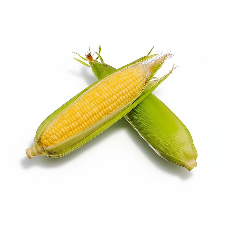 Sweet Corn