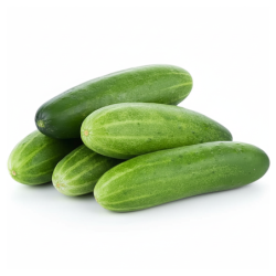 Cucumber