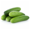 Cucumber