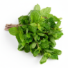 Mint Leaves Bunch