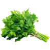 Parsley Bunch
