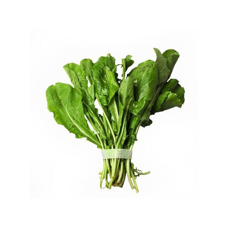 Arugula Bunch