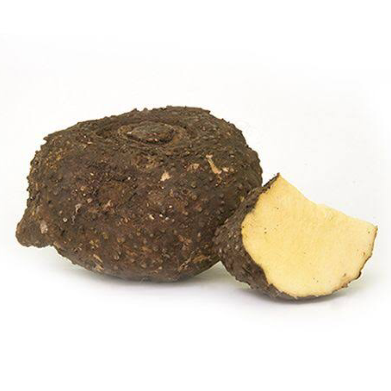 Suran (Yam)