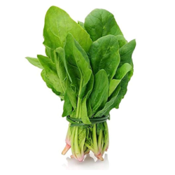 Spinach Green