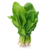 Spinach Green
