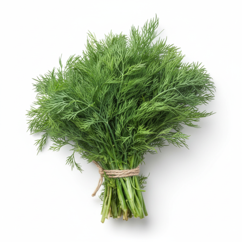 Dill