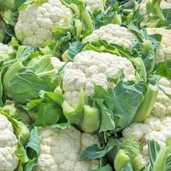 Cauliflower
