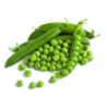 Green Peas