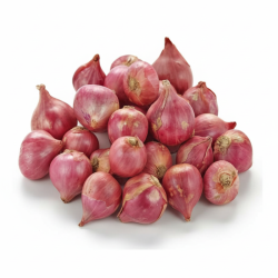 Shallot Onion