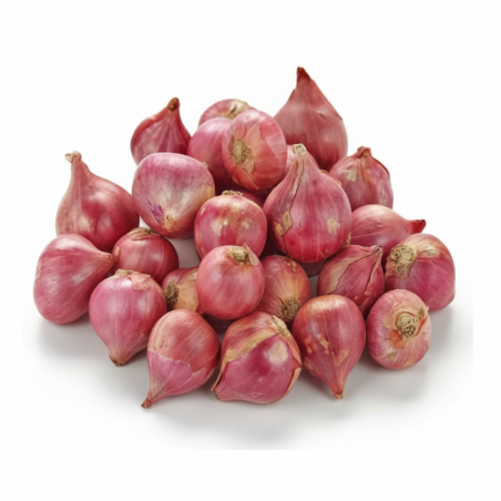 Shallot Onion