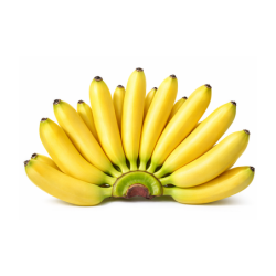 Baby Bananas