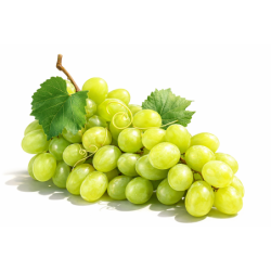 Grape White