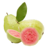 Guava Pink