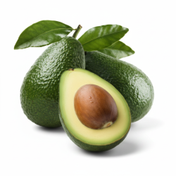 Avocado Kenya