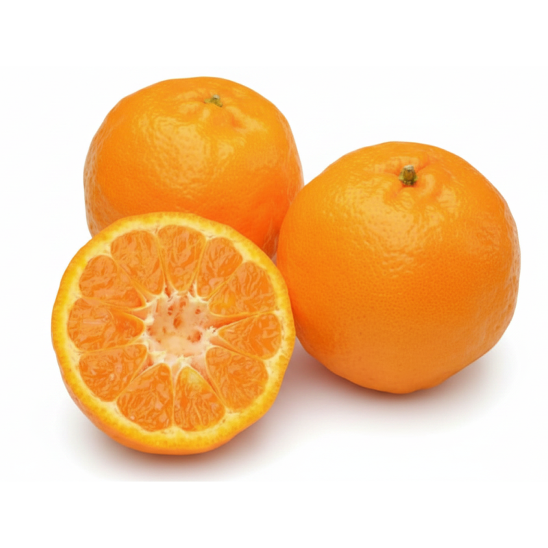Mandarins China