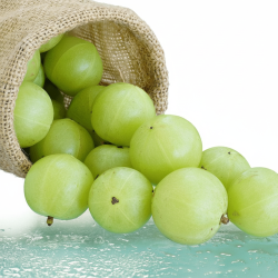 Amla