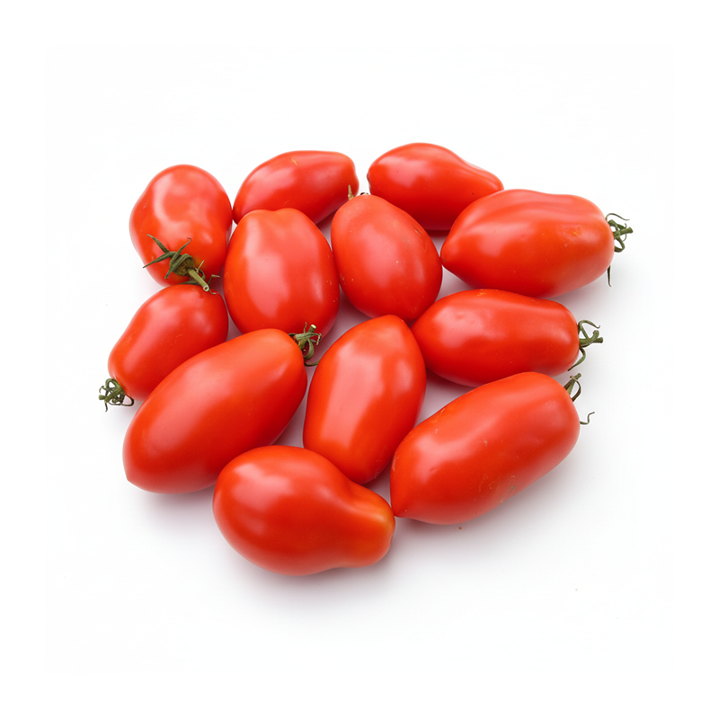 Tomato Regular