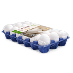 Turkey White Eggs Medium 15 pcs tray