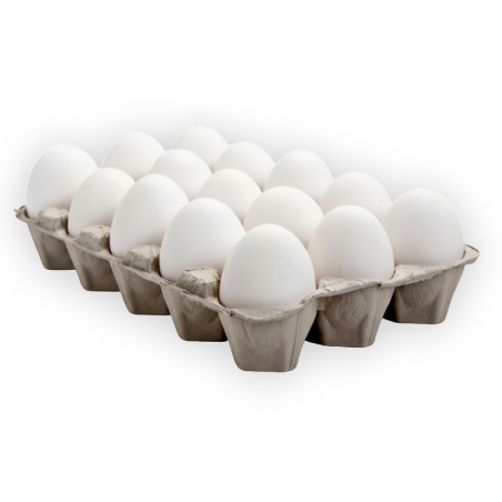 Indian White Eggs Medium 15 pcs | Buy Fresh Eggs Online UAE