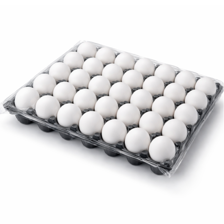 Al Ain Farms White Eggs Large 30 pcs | Buy Online UAE