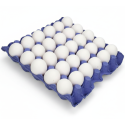 Turkey White Eggs Medium 30 pcs | Fresh Eggs Online UAE